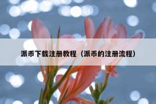 派币下载注册教程（派币的注册流程） 第1张