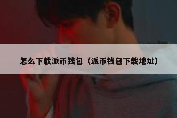 怎么下载派币钱包（派币钱包下载地址） 第1张