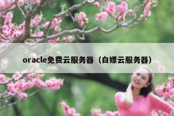 oracle免费云服务器（白嫖云服务器） 第1张