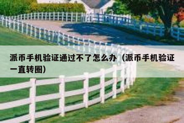 派币手机验证通过不了怎么办（派币手机验证一直转圈） 第1张