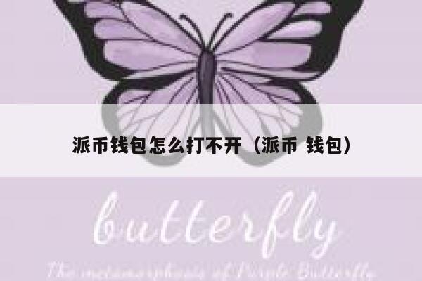 派币钱包怎么打不开（派币 钱包） 第1张