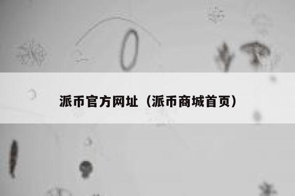 派币官方网址（派币商城首页） 第1张