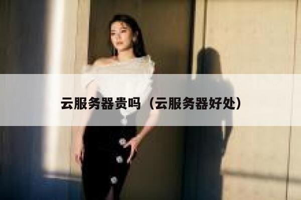 云服务器贵吗（云服务器好处） 第1张