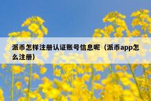 派币怎样注册认证账号信息呢（派币app怎么注册） 第1张