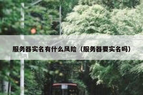 服务器实名有什么风险（服务器要实名吗） 第1张