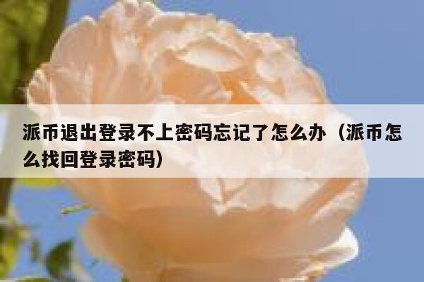 派币退出登录不上密码忘记了怎么办（派币怎么找回登录密码） 第1张