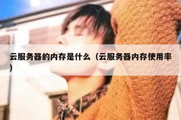 云服务器的内存是什么（云服务器内存使用率） 第1张