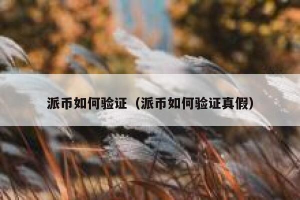派币如何验证（派币如何验证真假） 第1张