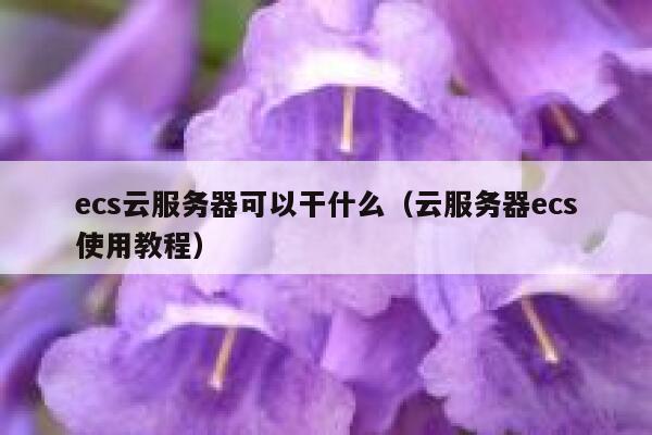 ecs云服务器可以干什么（云服务器ecs使用教程） 第1张