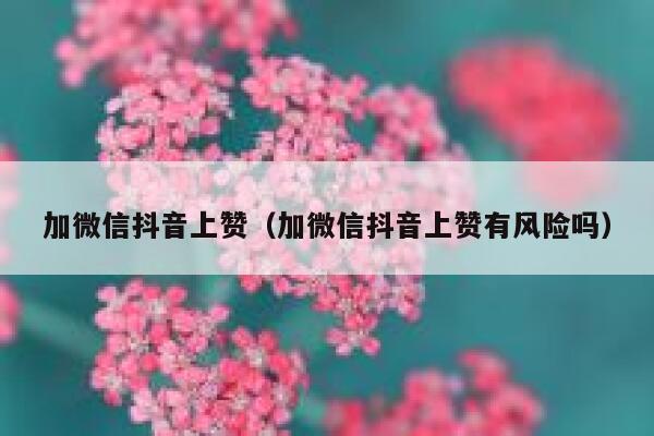 加微信抖音上赞（加微信抖音上赞有风险吗） 第1张