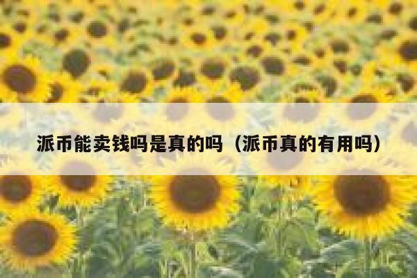 派币能卖钱吗是真的吗（派币真的有用吗） 第1张