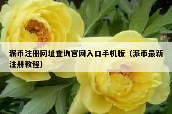 派币注册网址查询官网入口手机版（派币最新注册教程） 第1张