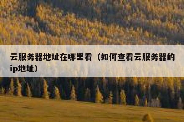云服务器地址在哪里看（如何查看云服务器的ip地址） 第1张