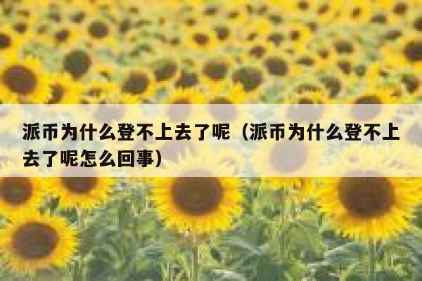 派币为什么登不上去了呢（派币为什么登不上去了呢怎么回事） 第1张