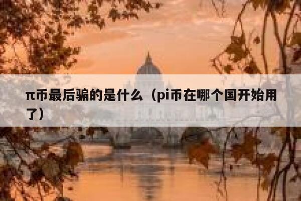 π币最后骗的是什么（pi币在哪个国开始用了） 第1张