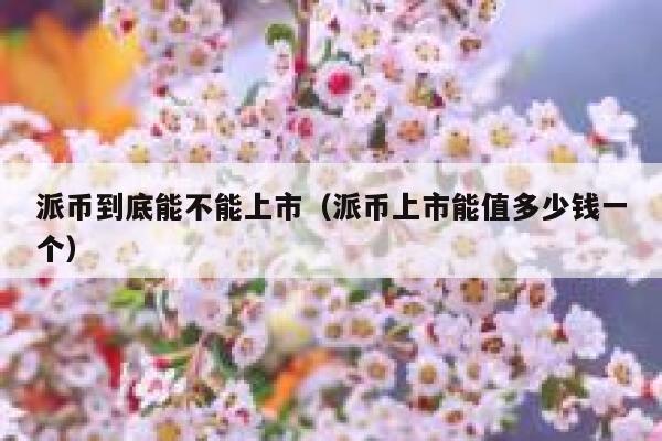 派币到底能不能上市（派币上市能值多少钱一个） 第1张