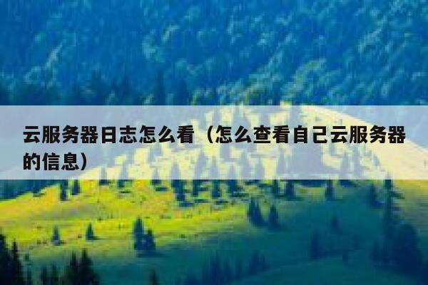 云服务器日志怎么看（怎么查看自己云服务器的信息） 第1张