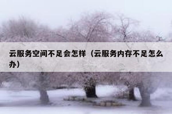 云服务空间不足会怎样（云服务内存不足怎么办） 第1张