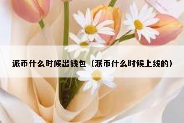 派币什么时候出钱包（派币什么时候上线的） 第1张
