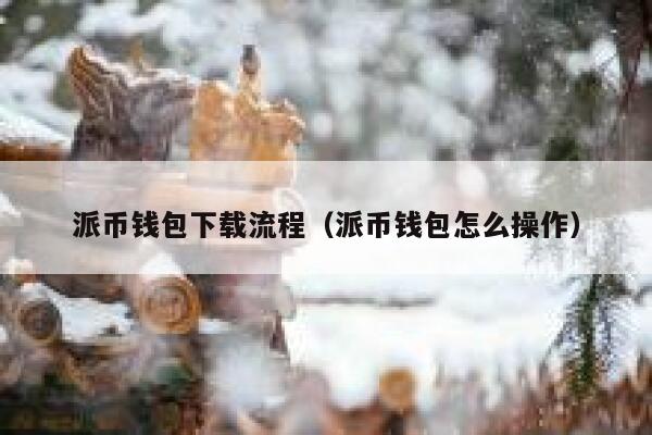 派币钱包下载流程（派币钱包怎么操作） 第1张