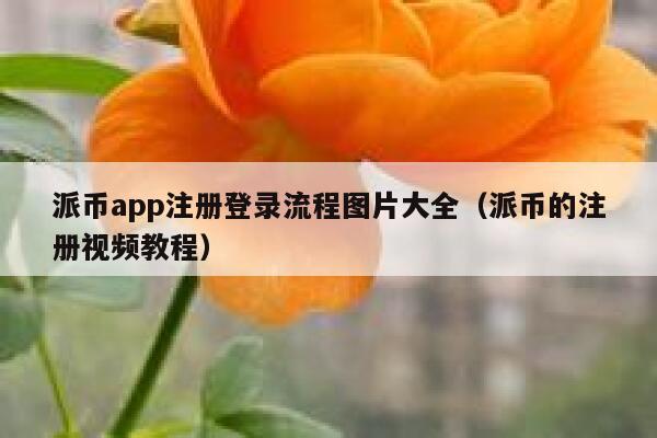 派币app注册登录流程图片大全（派币的注册视频教程） 第1张