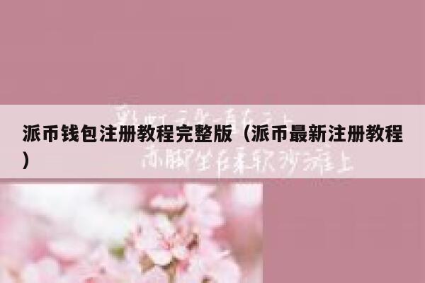 派币钱包注册教程完整版（派币最新注册教程） 第1张