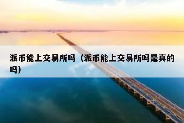 派币能上交易所吗（派币能上交易所吗是真的吗） 第1张