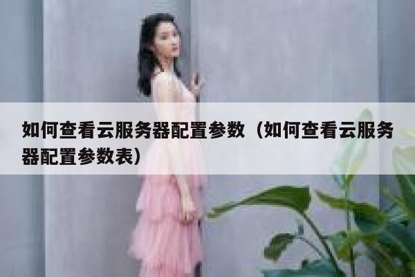 如何查看云服务器配置参数（如何查看云服务器配置参数表） 第1张