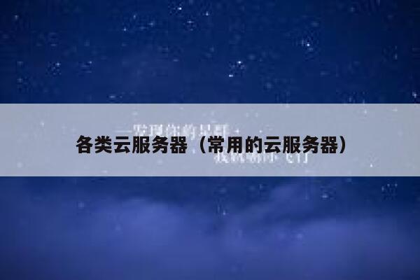 各类云服务器（常用的云服务器） 第1张
