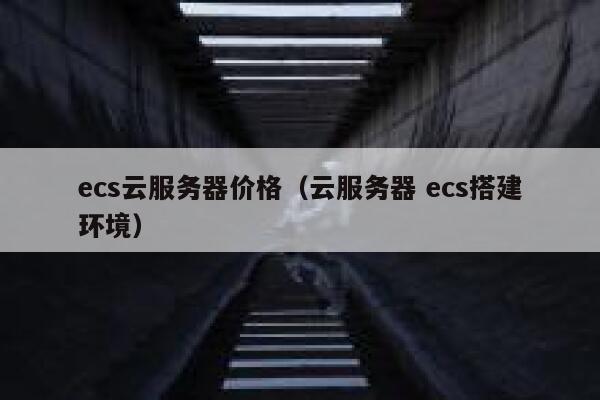 ecs云服务器价格（云服务器 ecs搭建环境） 第1张