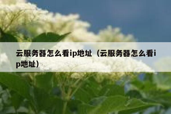 云服务器怎么看ip地址（云服务器怎么看ip地址） 第1张