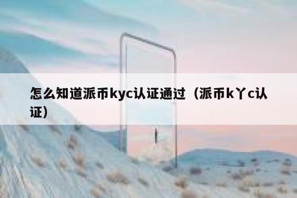 怎么知道派币kyc认证通过（派币k丫c认证） 第1张