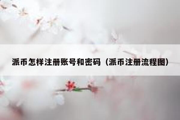 派币怎样注册账号和密码（派币注册流程图） 第1张