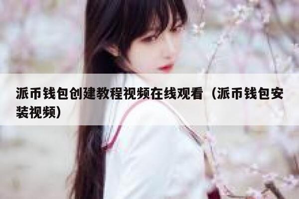 派币钱包创建教程视频在线观看（派币钱包安装视频） 第1张