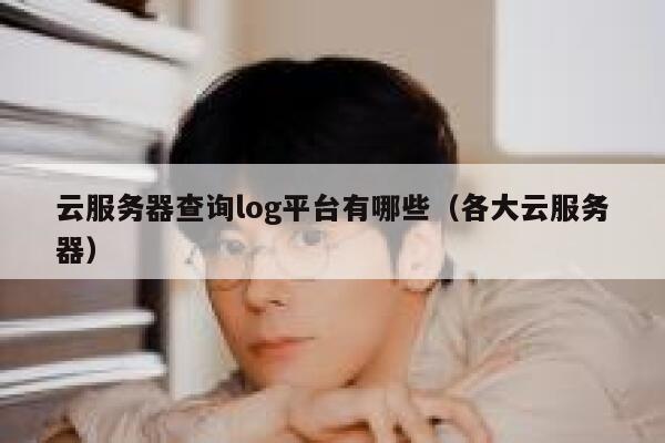 云服务器查询log平台有哪些（各大云服务器） 第1张