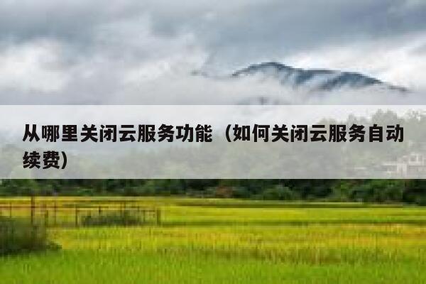 从哪里关闭云服务功能（如何关闭云服务自动续费） 第1张