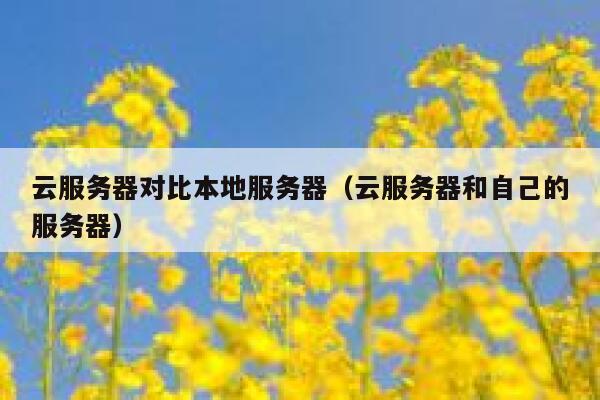 云服务器对比本地服务器（云服务器和自己的服务器） 第1张