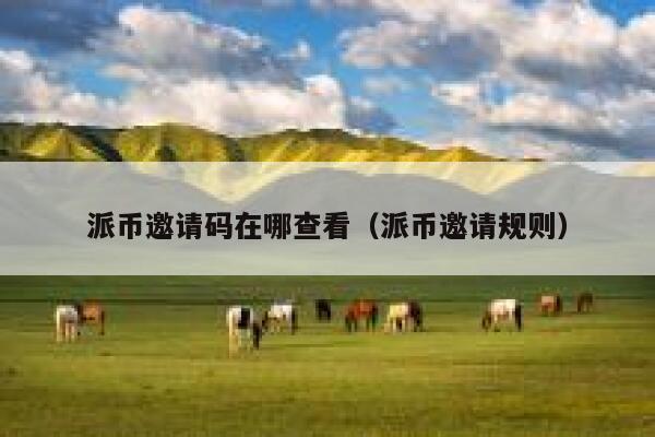 派币邀请码在哪查看（派币邀请规则） 第1张