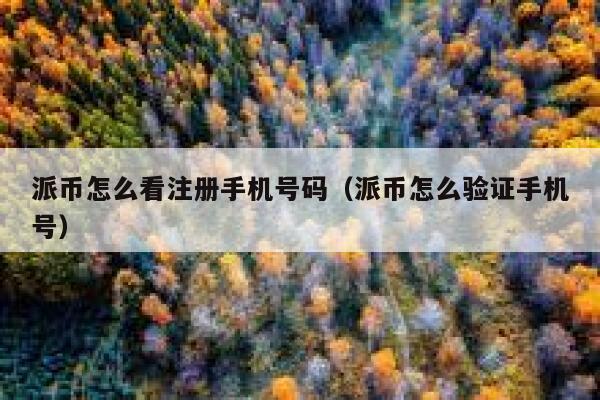 派币怎么看注册手机号码（派币怎么验证手机号） 第1张