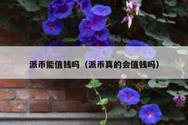 派币能值钱吗（派币真的会值钱吗） 第1张