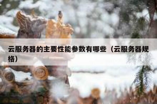 云服务器的主要性能参数有哪些（云服务器规格） 第1张