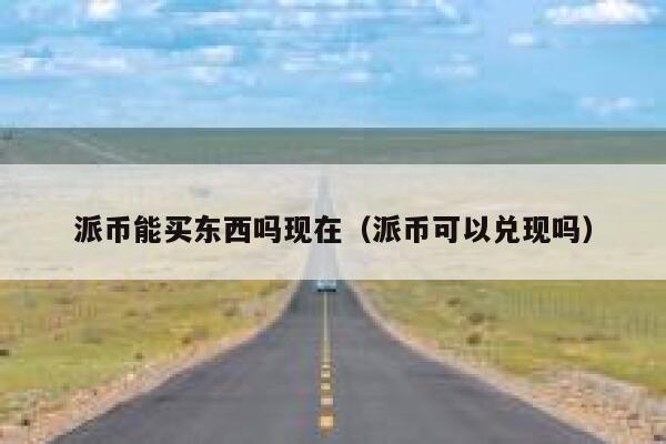 派币能买东西吗现在（派币可以兑现吗） 第1张
