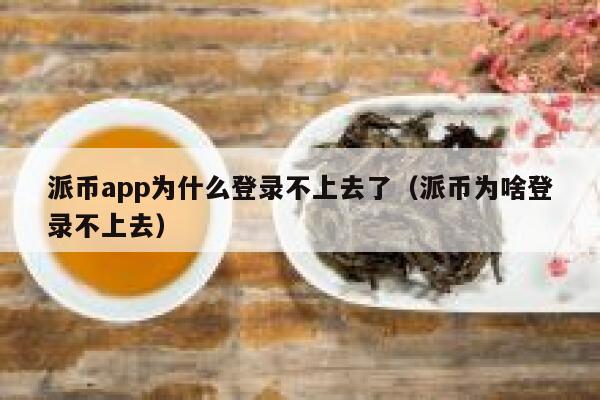 派币app为什么登录不上去了（派币为啥登录不上去） 第1张