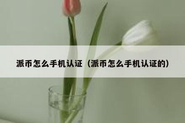派币怎么手机认证（派币怎么手机认证的） 第1张