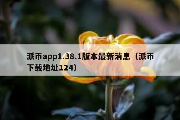 派币app1.38.1版本最新消息（派币下载地址124） 第1张