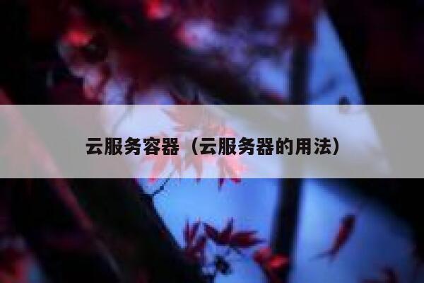云服务容器（云服务器的用法） 第1张