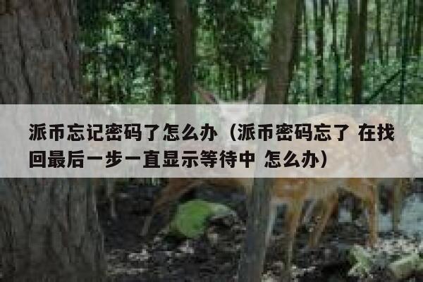 派币忘记密码了怎么办（派币密码忘了 在找回最后一步一直显示等待中 怎么办） 第1张