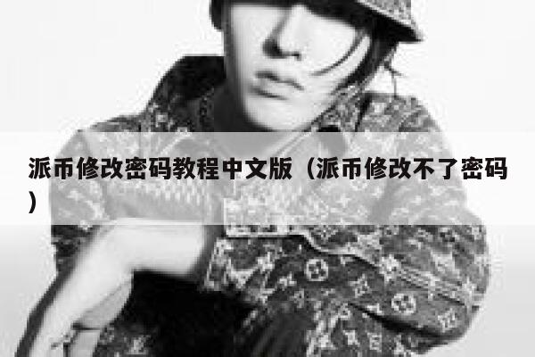 派币修改密码教程中文版（派币修改不了密码） 第1张