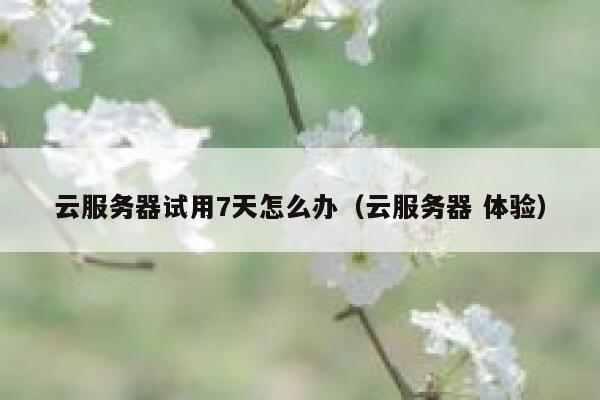 云服务器试用7天怎么办（云服务器 体验） 第1张