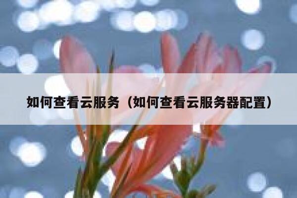 如何查看云服务（如何查看云服务器配置） 第1张